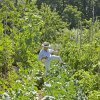 gartenhochbeet_0006