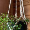 Makramee Blumenampel knüpfen