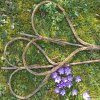 weidenherz_0002a